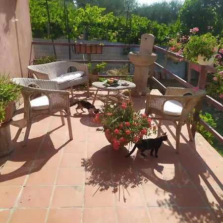 Villa Herbitas * Nicosia